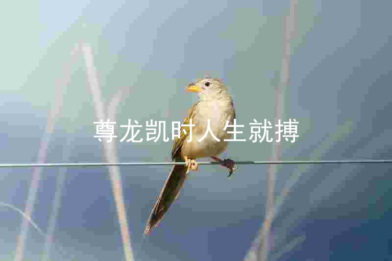 尊龙凯时人生就搏