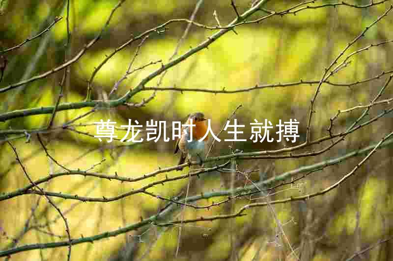 尊龙凯时人生就搏