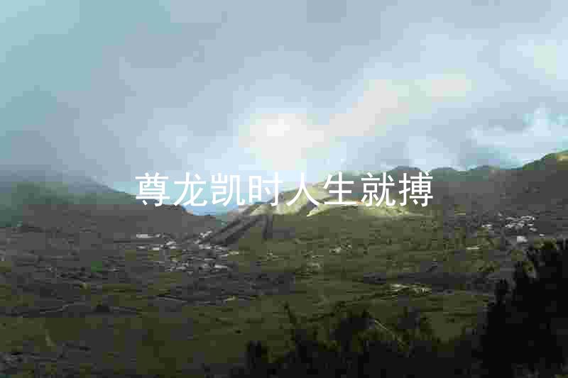 尊龙凯时人生就搏