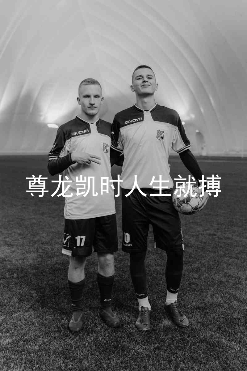 尊龙凯时人生就搏