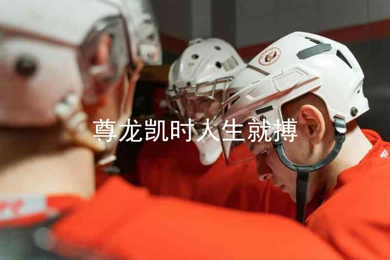 尊龙凯时人生就搏