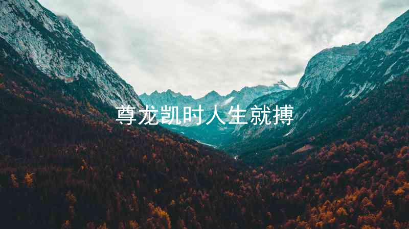 尊龙凯时人生就搏