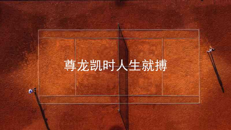 尊龙凯时人生就搏